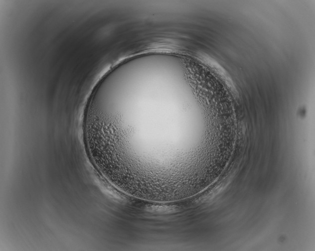 X0000097981427200803241248