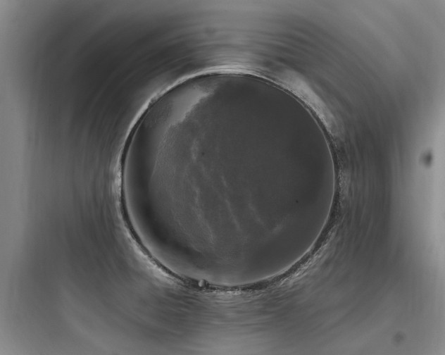 X0000097981428200803241248