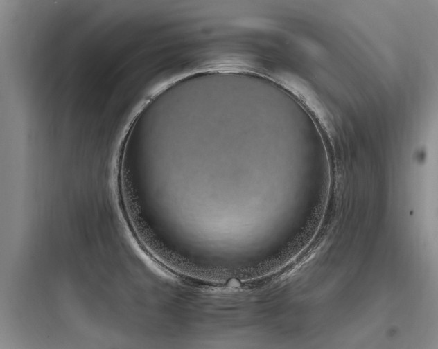 X0000097981429200803241249
