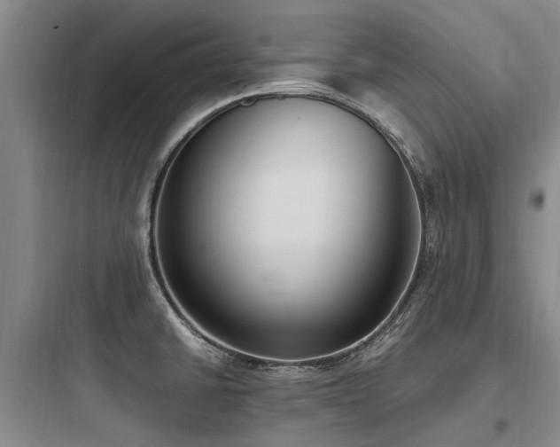 X0000097981430200803241249