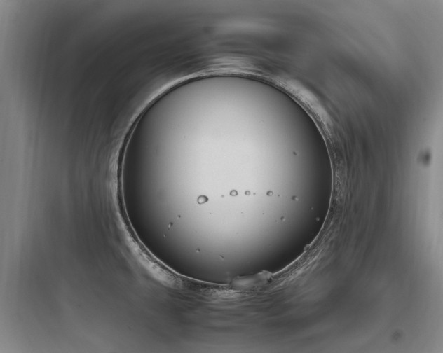 X0000097981431200803241249