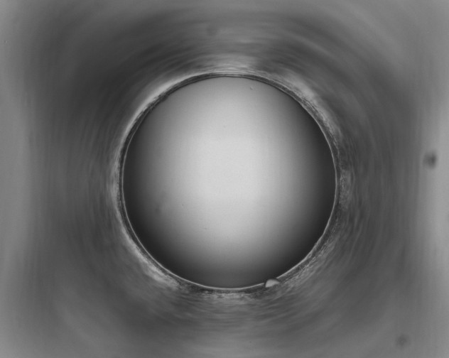 X0000097981432200803241249