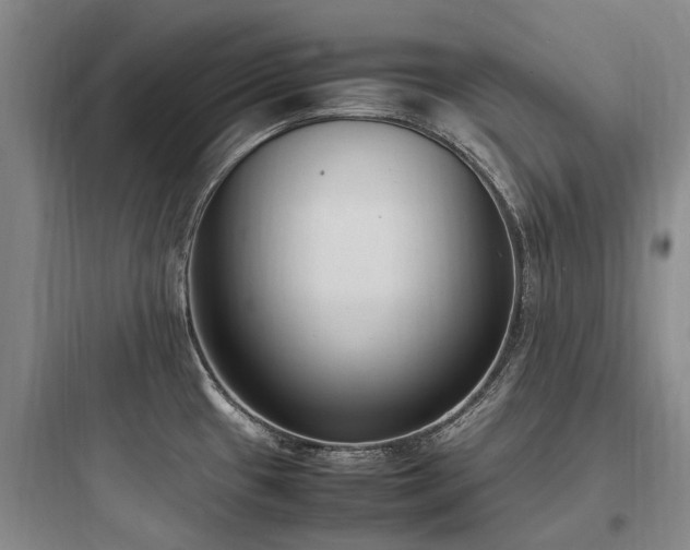 X0000097981433200803241249