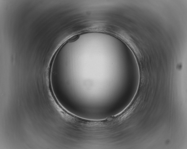 X0000097981434200803241249