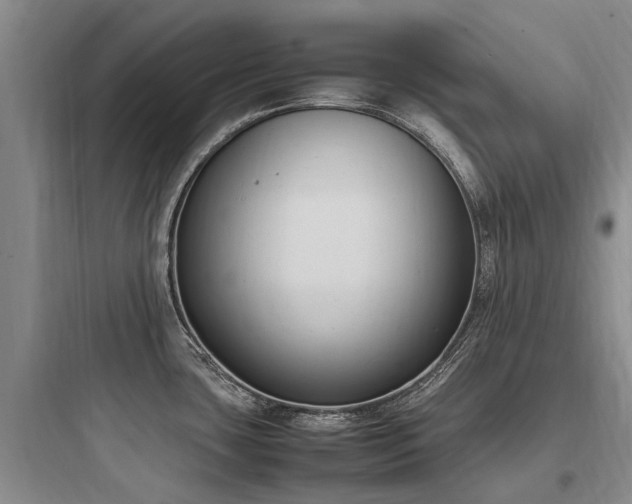 X0000097981435200803241249