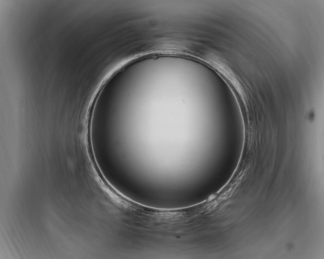 X0000097981437200803241249