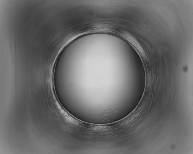 X0000097981439200803241249