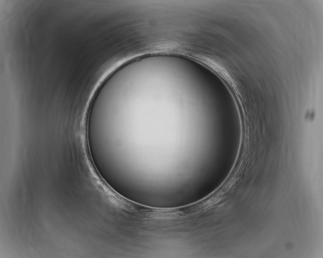 X0000097981440200803241249
