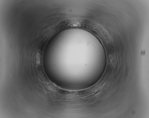 X0000097981442200803241248