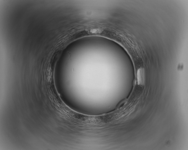 X0000097981443200803241248