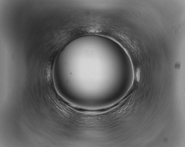 X0000097981444200803241248
