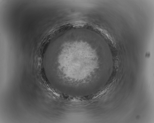 X0000097981445200803241248