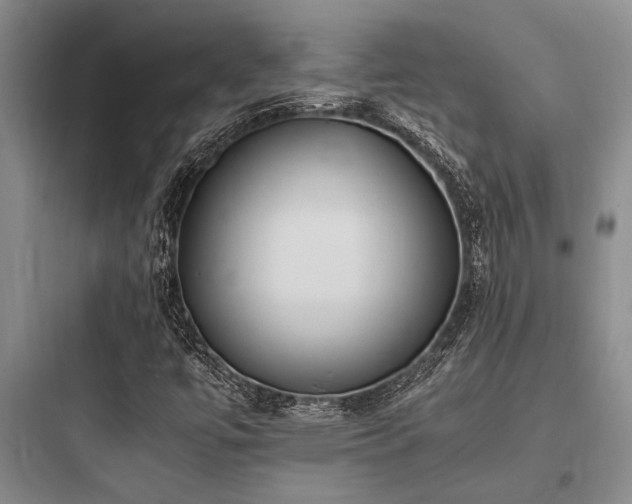 X0000097981447200803241248