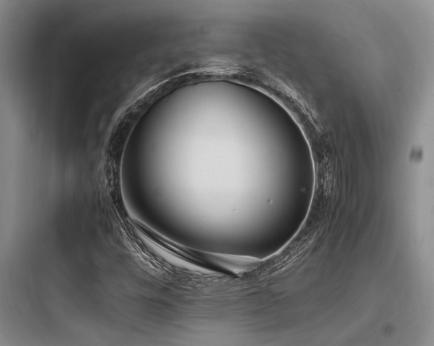 X0000097981448200803241248