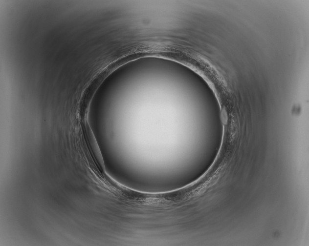 X0000097981449200803241248