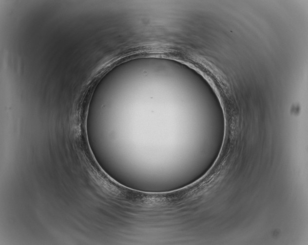 X0000097981451200803241248