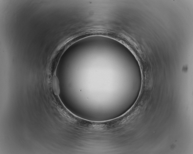 X0000097981453200803241248