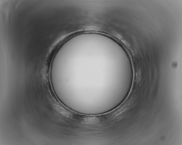 X0000097981454200803241248