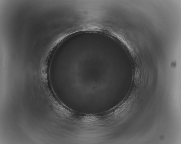 X0000097981455200803241248