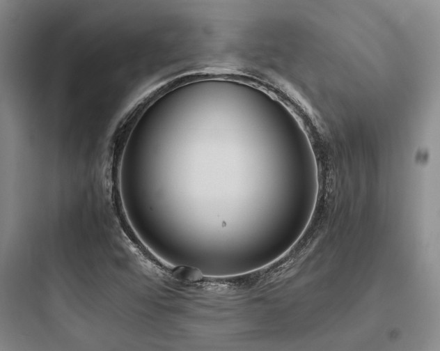 X0000097981456200803241248