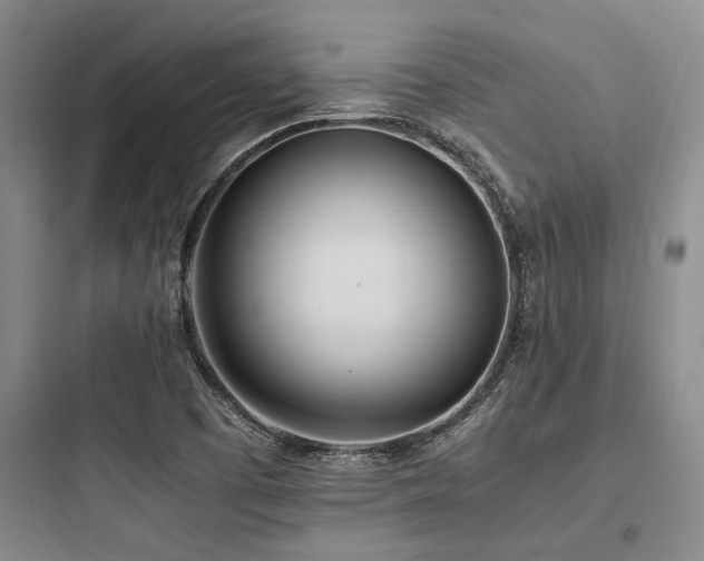 X0000097981457200803241248