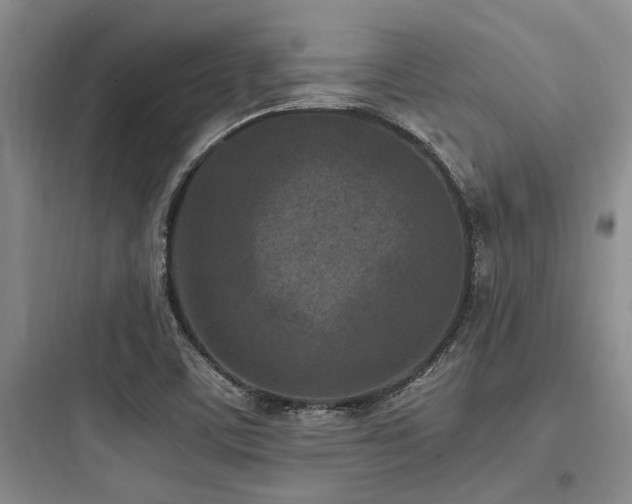 X0000097981459200803241248