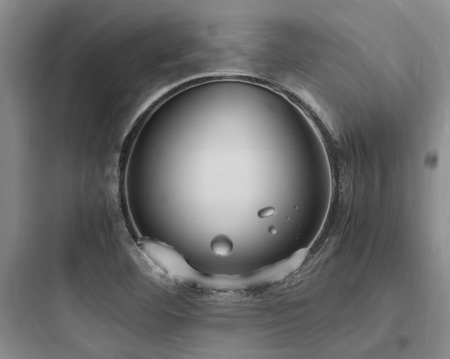 X0000097981460200803241248