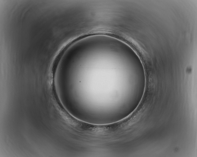 X0000097981461200803241248