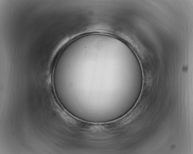 X0000097981462200803241248