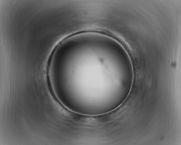 X0000097981463200803241248