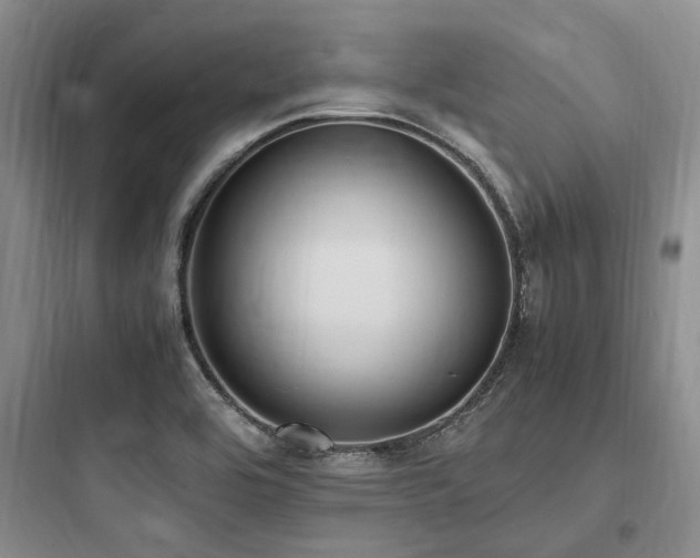 X0000097981464200803241248