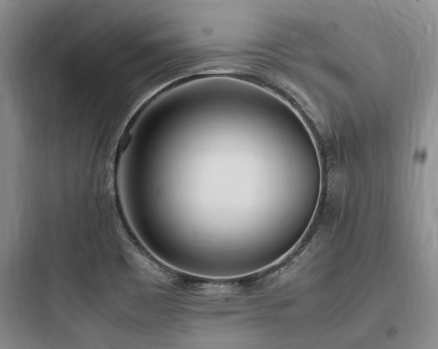 X0000097981465200803241248