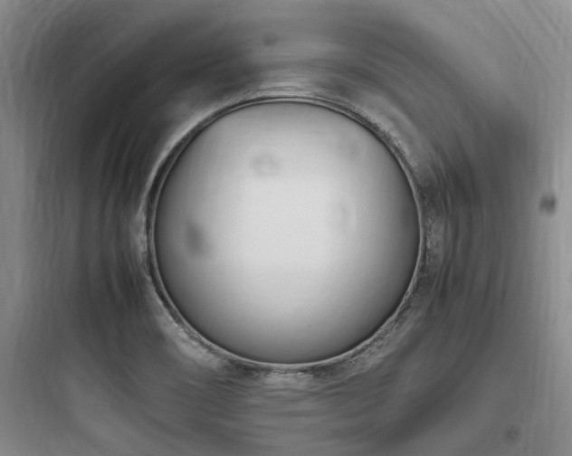 X0000097981466200803241247