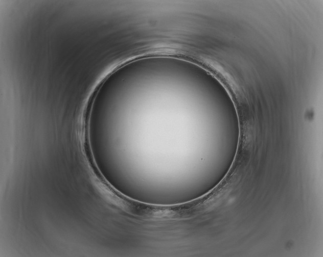 X0000097981467200803241247