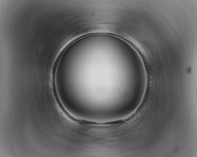 X0000097981468200803241247