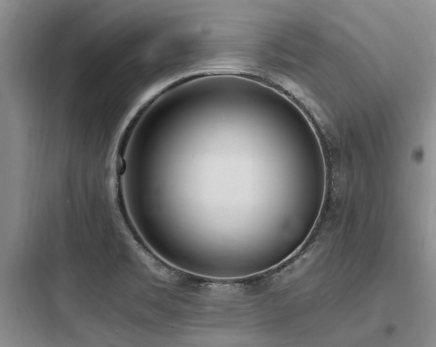 X0000097981469200803241247