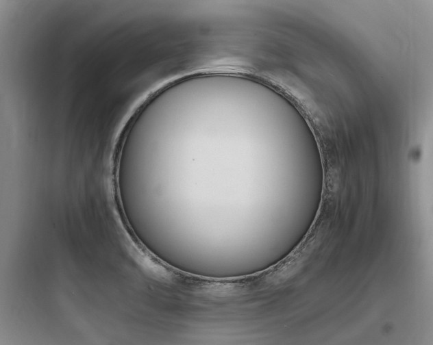 X0000097981470200803241247