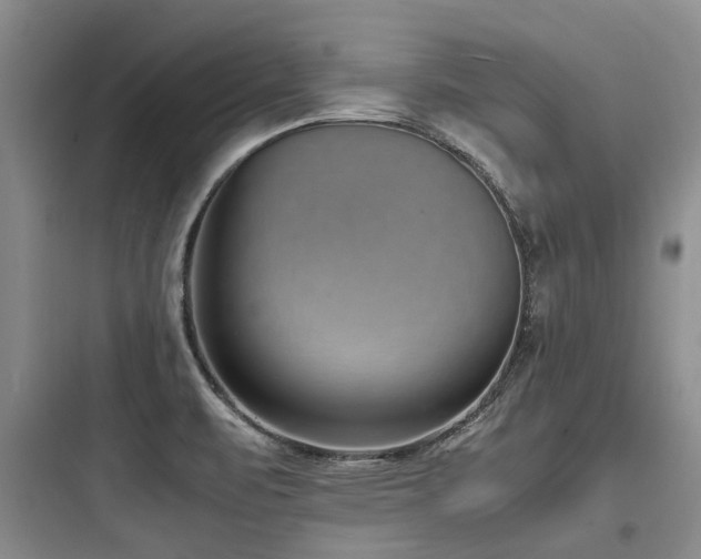 X0000097981471200803241247