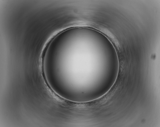 X0000097981472200803241247