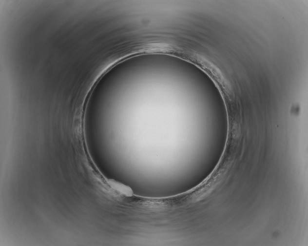 X0000097981473200803241247