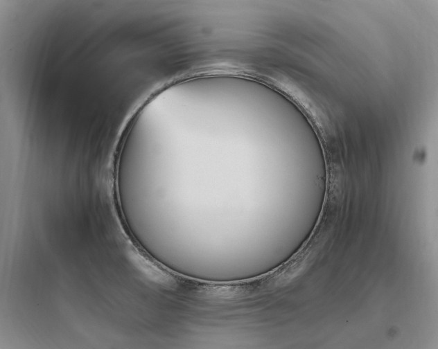 X0000097981474200803241247