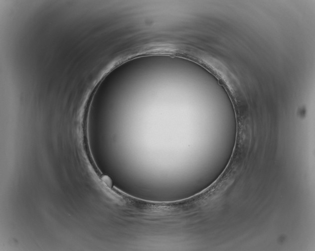X0000097981475200803241247