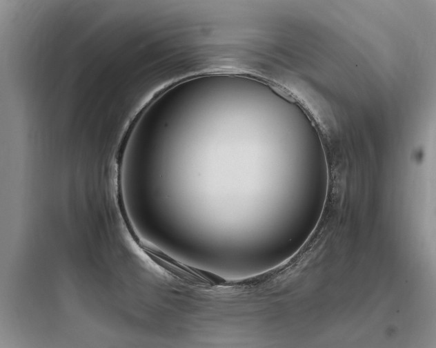 X0000097981476200803241247