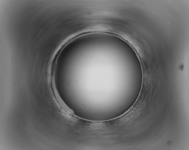 X0000097981477200803241247