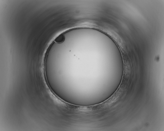 X0000097981478200803241247