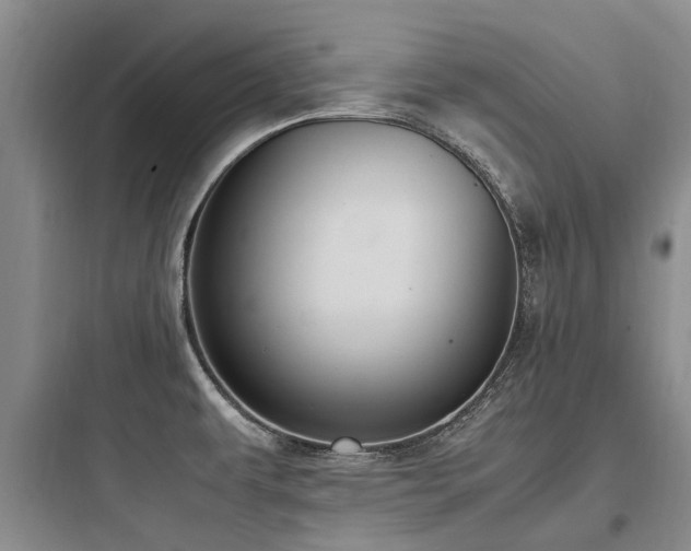 X0000097981479200803241247