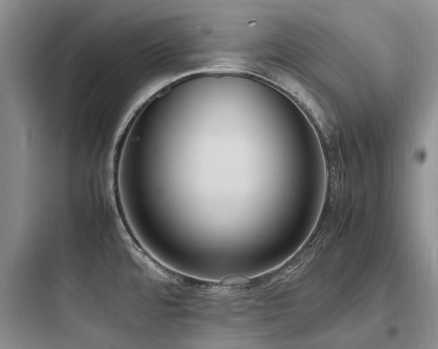 X0000097981480200803241247