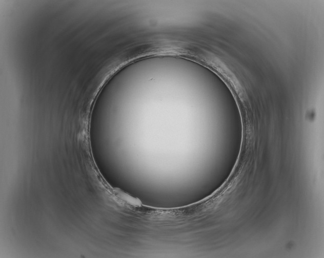 X0000097981481200803241247