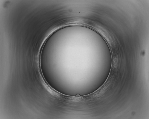 X0000097981482200803241247