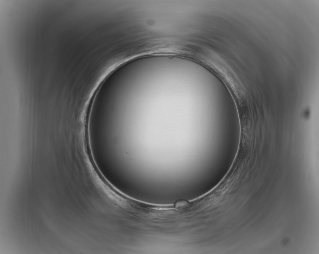 X0000097981483200803241247